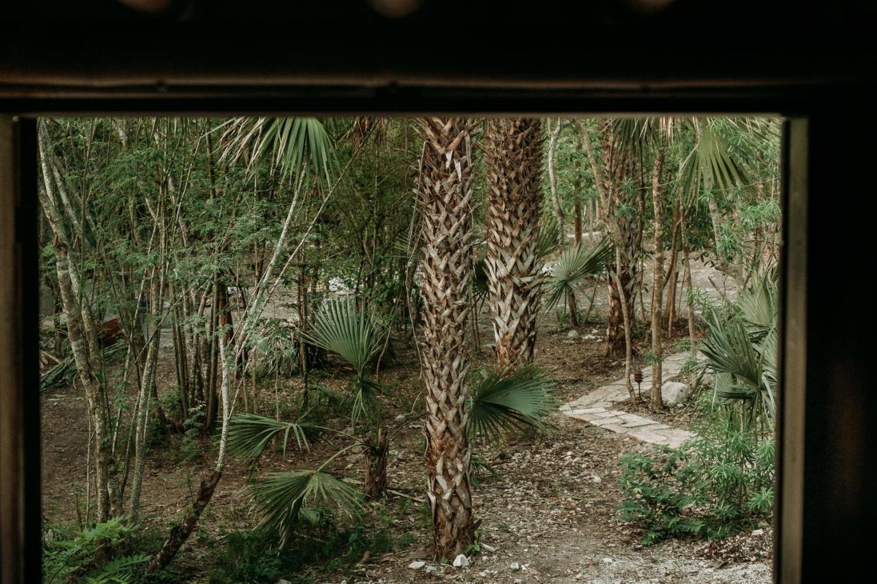 Selva Teenek Eco-Park Ciudad Valles Eksteriør billede